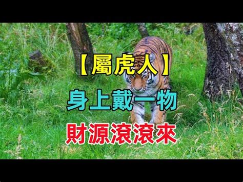 屬虎座向|【屬虎的坐向】屬虎的坐向合運，住哪樓層財運佳！